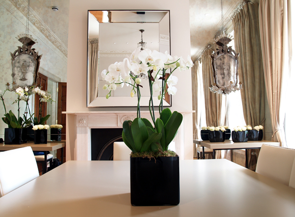 cadogan-place-image